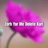 Zorh Yar Me Delete Kari