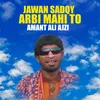 About Jawan Sadqy Arbi Mahi To Song