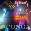 About Conga Song