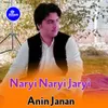 About Naryi Naryi Jaryi Song