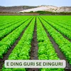 About E DING GURI SE DINGURI Song