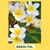 BOKUL FUL