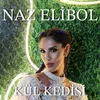 About Kül Kedisi Song