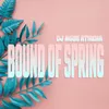 About Bound Of Spring Song