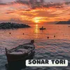 About SONAR TORI Song