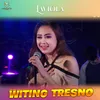 About Witing Tresno Song