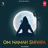 Om Namah Shivaya