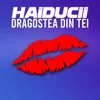 About Dragostea Din Tei Song