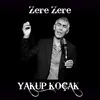 About Zere Zere Song