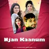About Njan Kaanum Song
