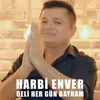 About Deli Her Gün Bayram Song