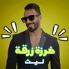 About Kharze Zarqa Song