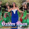 About Adana Çiftetelli Song