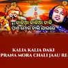 About Kalia Kalia Daki Prana Mora Chali Jaau Re Song