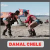About DAMAL CHELE Song