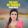 About Tur Gaye Ne Pardes Song