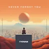 About Never Forget You Song