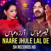 About Naare Jhule Lal De Song