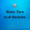 About Rater Tara Song