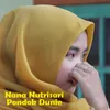 About Nana Nutrisari Pondok Dunie Song