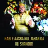 About NABI e Aasra Kul Jahan Da Song