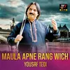 About Maula Apne Rang Wich Song