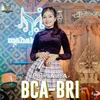 About BCA-BRI Song