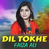 Dil Tokhe