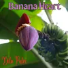 Banana Heart