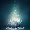 Lotus Flower