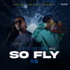 About SO FLY Song