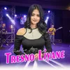 About Tresno Liyane Song