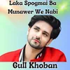 About Laka Spogmai Ba Munawer We Nabi Song