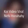 About Koi Video Viral Nehi Horahahy Song