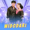 About Widodari Song