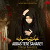 About Abbas (AS) Tere Saharey Song