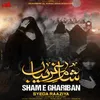 About Sham E Ghariban Song