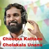 About Cheeraa Kattanu Chelakala Unanu Song
