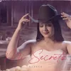 About Mi Secreto Song