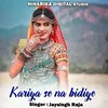 About Kariya Se Na Bidiye Song