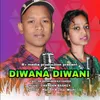 About DIWANA DIWANI Song