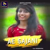 About AE SAJANI Song