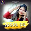 About PAGOL DIL Song
