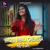 About BHOLI BHALI CHEHERA RE TOR Song