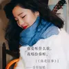 About 南北往事 Song