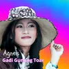 About Gadi Gunuang Toar Song