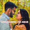 SONA BANDHU TUI AMAR