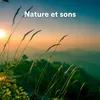 Nature et sons, pt. 47