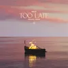 About Too Late Song