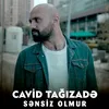 About Sənsiz Olmur Song